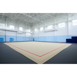 Тренировочный ковер 10х10м (материал Россия)